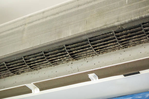 Best Residential Air Duct Cleaning  in Capitol View, SC