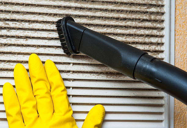 Best HVAC System Cleaning  in Capitol View, SC